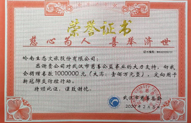 WM视讯股份向武汉市慈善总会捐赠人民币100万元
