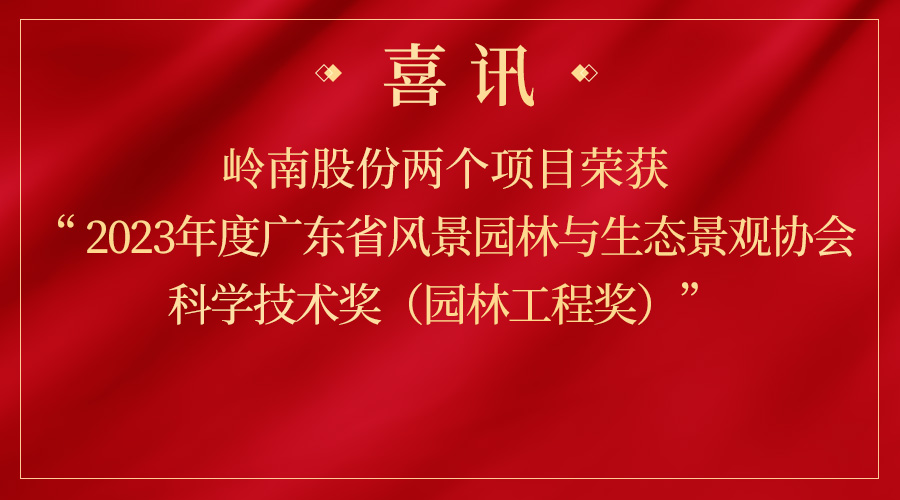 WM视讯股份两个项目再获省级奖项！