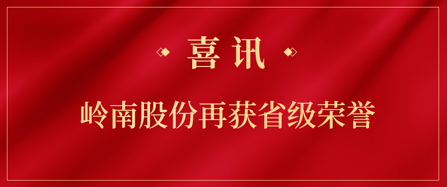 实力上榜！WM视讯股份项目获得省级荣誉
