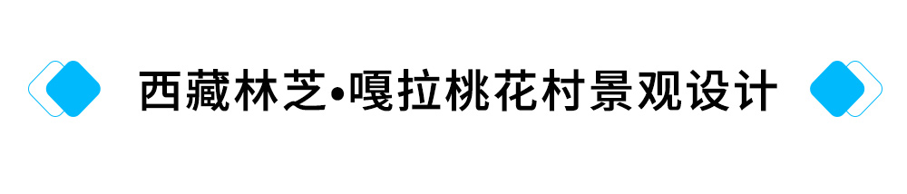 24、西藏林芝?嘎拉桃花村景观设计.jpg